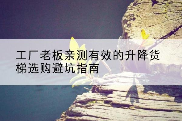 遂溪升降货梯怎么选-工厂老板亲测有效的升降货梯选购避坑指南