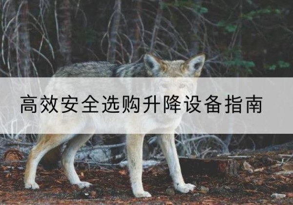 遂溪升降货梯厂家推荐-*安全选购升降设备指南