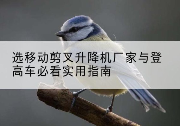遂溪电动升降机厂家-选移动剪叉升降机厂家与登高车必看实用指南