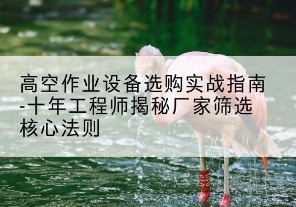遂溪剪叉式升降机厂家-高空作业设备选购实战指南-十年工程师揭秘厂家筛选核心法则