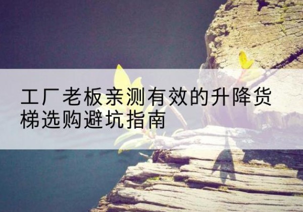 遂溪升降货梯怎么选-工厂老板亲测有效的升降货梯选购避坑指南