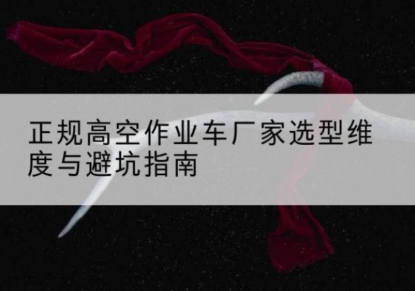 遂溪高空作业车厂家-正规选型维度与避坑指南
